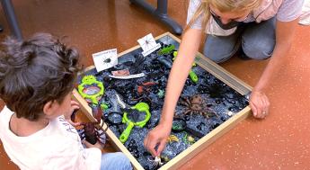 A child with a parent digging out spooky insect fossils