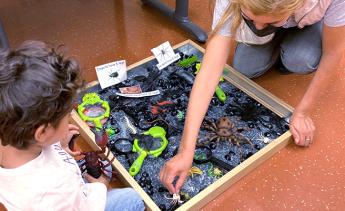 A child with a parent digging out spooky insect fossils