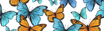 Illustration of a cluster of brightly colored butterflies